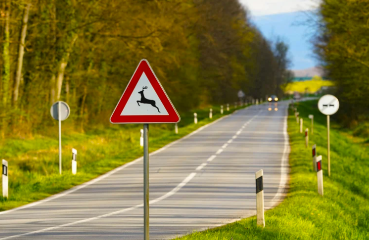 À quel âge peut-on passer le code de la route