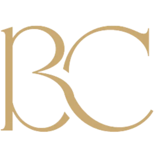 Bonchauffeur Logo.png